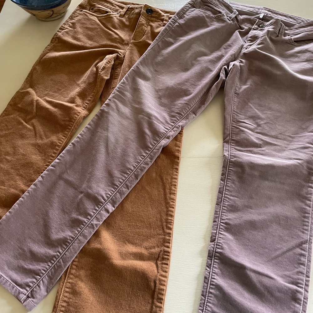 Loft and Jones New York 10P straight cords